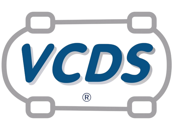 VCDS VAG